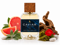 CAVIAR warm spicy perfume